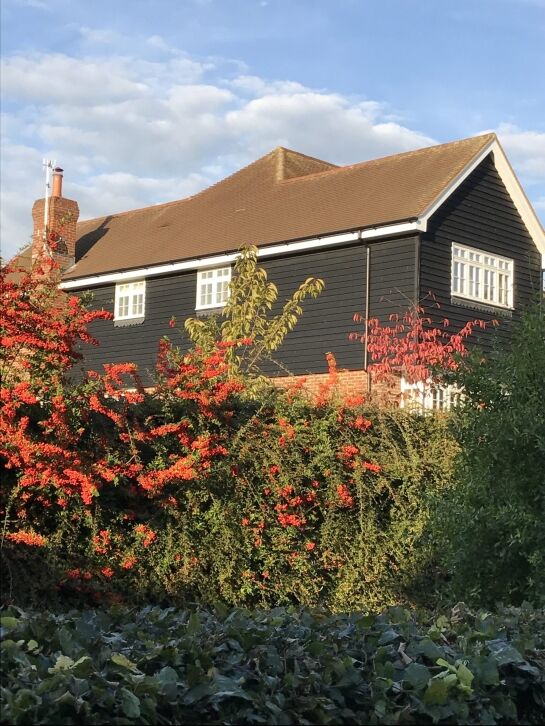 Premium black featheredge 175x23mm (Rebated for easy fit)