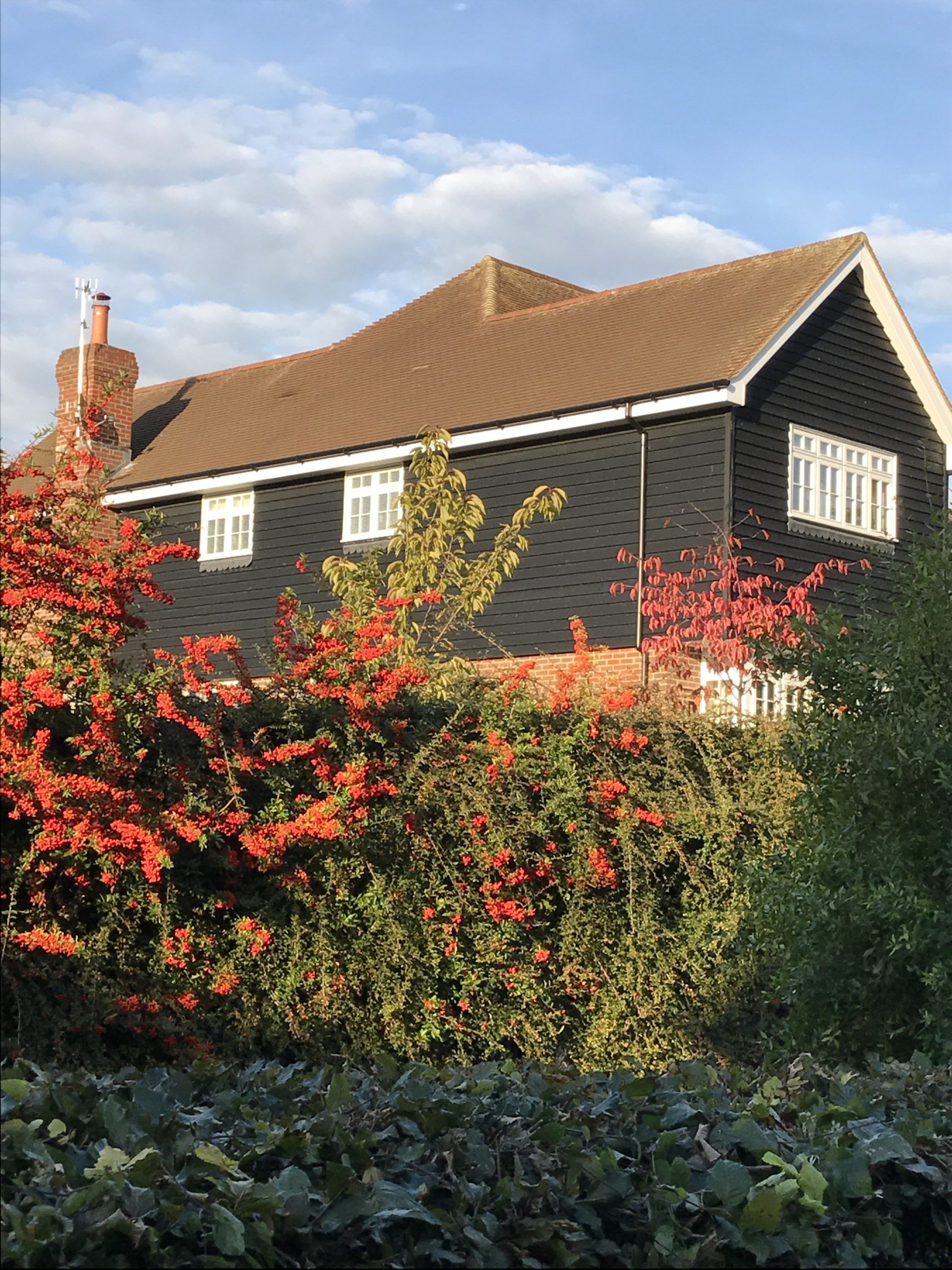 Premium black featheredge 175x23mm (Rebated for easy fit)